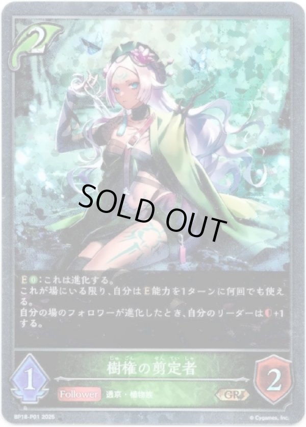 画像1: 【プレミアム】樹権の剪定者