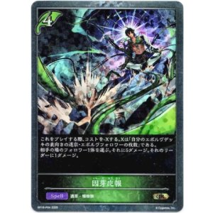 画像: 【プレミアム】因芽応報