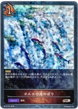 画像: 【プレミアム】オルカの滝のぼり