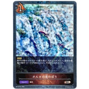 画像: 【プレミアム】オルカの滝のぼり