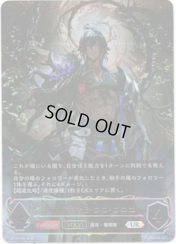 画像1: ※傷有り品（返品交換対象外）【アルティメット】【EVOLVE】浄樹の六銘伝・ロロ・ロニエ