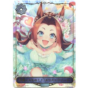 画像: ※傷有り品（返品交換対象外）【リーダー】〔花嫁たるもの！！〕カワカミプリンセス