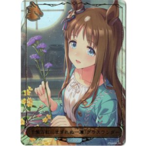画像: ※傷有り品（返品交換対象外）【リーダー】〔千紫万紅にまぎれぬ一凛〕グラスワンダー