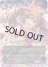 画像: ※傷有り品（返品交換対象外）【SP】スマートファルコン