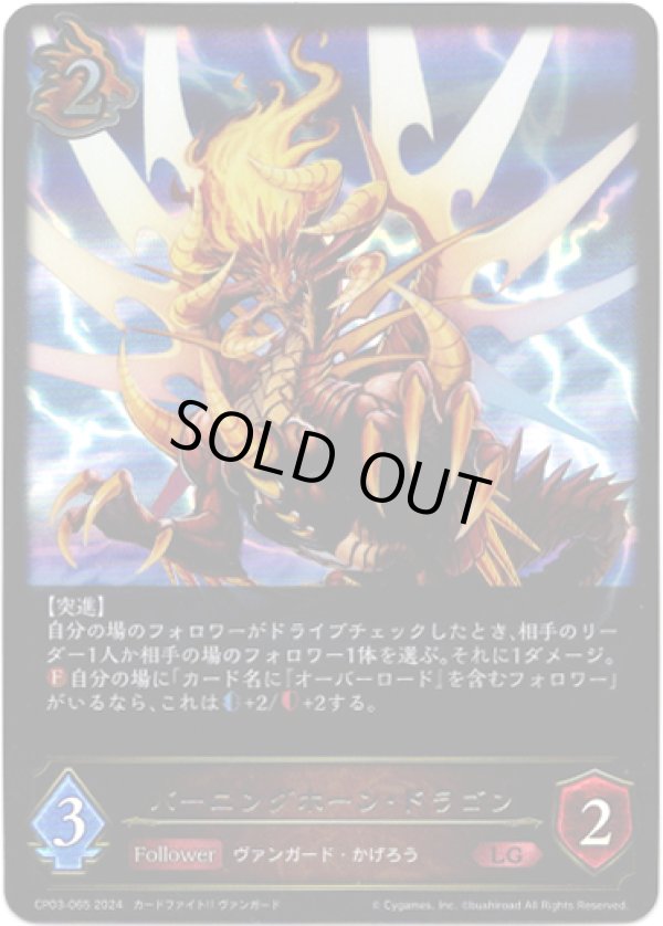 画像1: バーニングホーン・ドラゴン