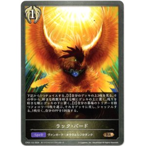 画像: ラック・バード