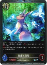 画像: 【プレミアム】稲葉の白兎