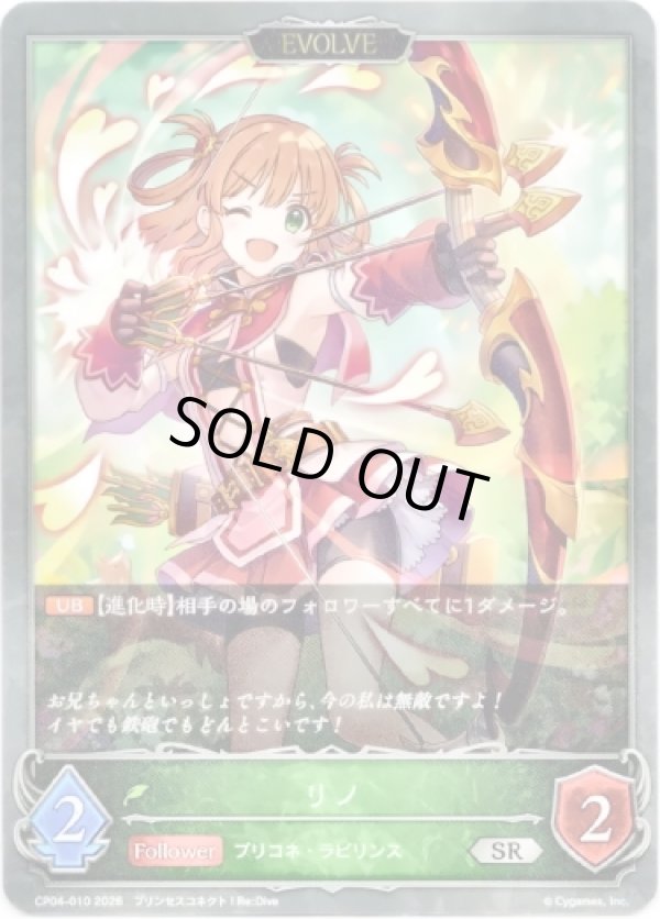 画像1: 【EVOLVE】リノ