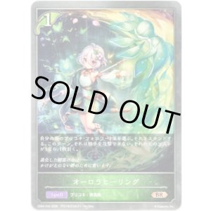 画像: オーロラヒーリング