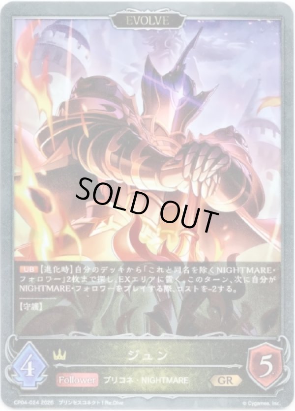 画像1: 【EVOLVE】ジュン