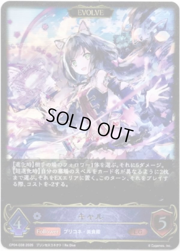 画像1: 【EVOLVE】キャル