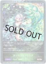 画像: 【プレミアム】オーロラヒーリング