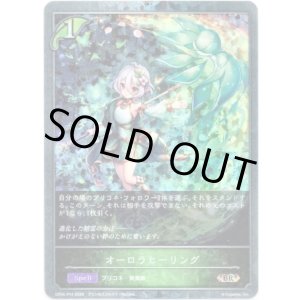 画像: 【プレミアム】オーロラヒーリング