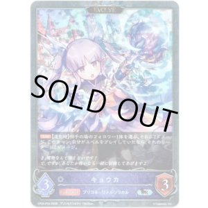画像: 【プレミアム】【EVOLVE】キョウカ