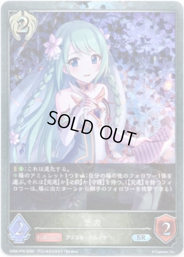 画像1: 【プレミアム】チカ