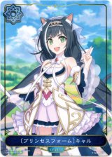 画像: 【リーダー】〔プリンセスフォーム〕キャル
