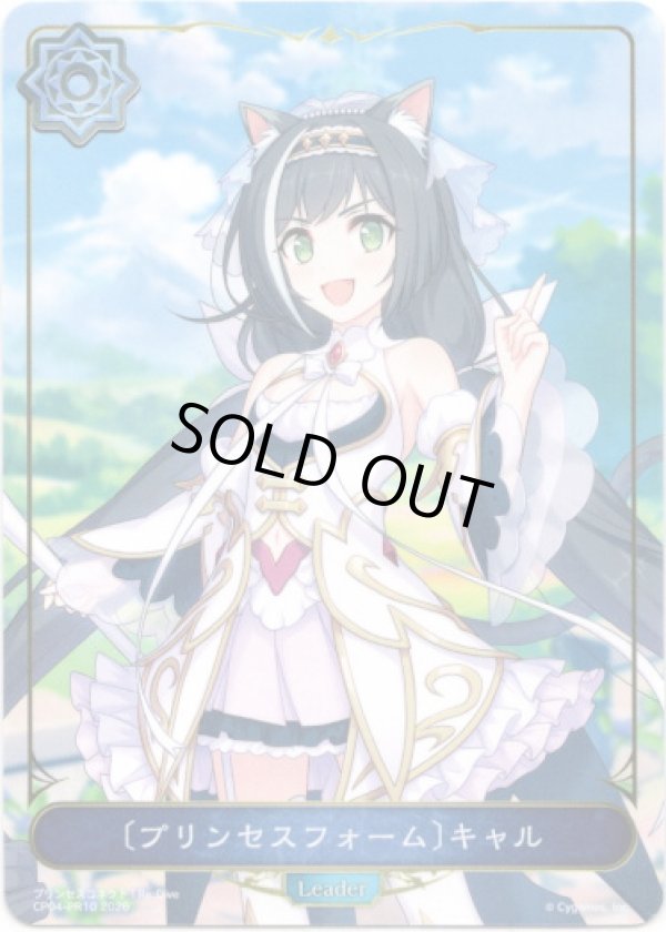 画像1: 【リーダー】〔プリンセスフォーム〕キャル