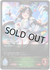 画像: ※傷有り品（返品交換対象外）【EVOLVE】ホッコータルマエ
