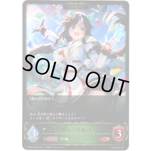 画像: ※傷有り品（返品交換対象外）【EVOLVE】ホッコータルマエ