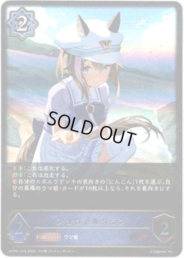 画像1: ※傷有り品（返品交換対象外）シュヴァルグラン