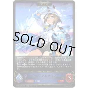 画像: ※傷有り品（返品交換対象外）【EVOLVE】シュヴァルグラン