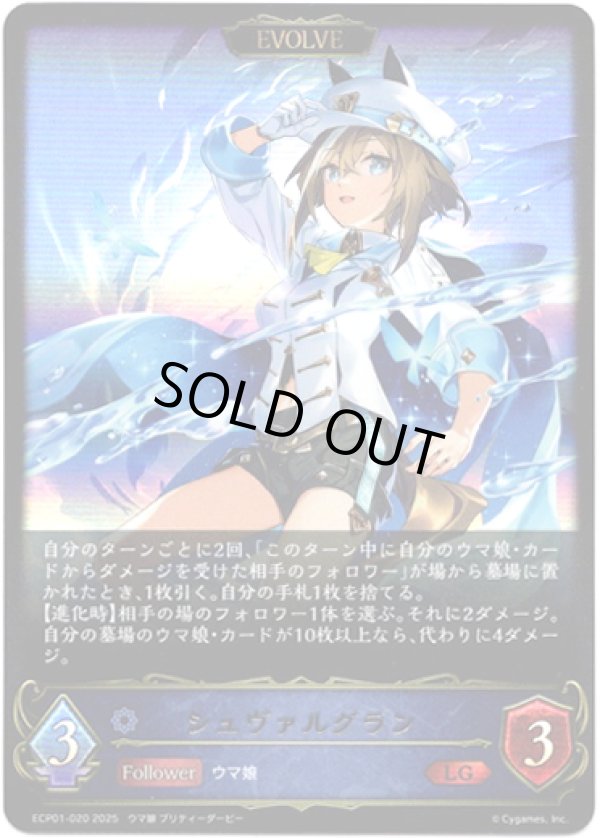 画像1: ※傷有り品（返品交換対象外）【EVOLVE】シュヴァルグラン