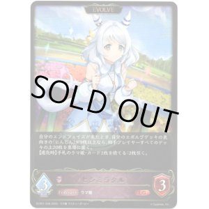 画像: ※傷有り品（返品交換対象外）【EVOLVE】ヒシミラクル