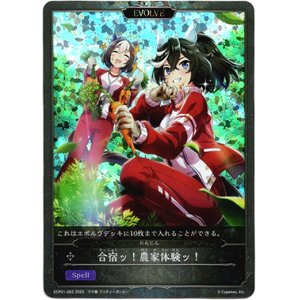 画像: 【P仕様】【EVOLVE】合宿ッ！農家体験ッ！（にんじん）