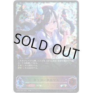 画像: ※傷有り品（返品交換対象外）【スーパーレジェンド】ホッコータルマエ