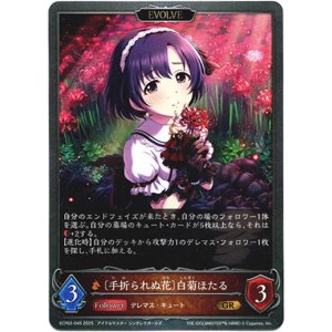 画像: 【EVOLVE】〔手折られぬ花〕白菊ほたる