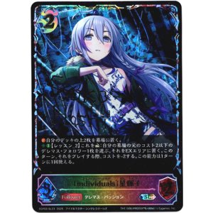 画像: ※傷有り品(返品交換対象外)【スーパーレジェンド】〔individuals〕星輝子