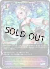 画像: 【イラスト違い】【スーパーレジェンド】オーロラヒーリング