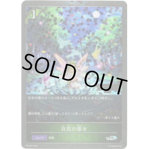 画像: 【CHAMPIONSHIP QUALIFIER2025】自然の導き