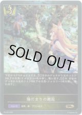 画像: 【PR】陽だまりの邂逅