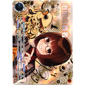 画像: 【EXP】激闘の覇者