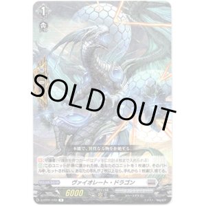画像: ヴァイオレート・ドラゴン