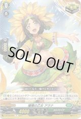 画像: 憧憬の乙女 アラナ