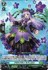 画像: プラドパラン ラフィロス