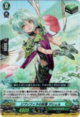 画像: ジプソフィラの妖精 アシェル