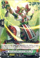 画像: ステッピングケリクス サルヴィア