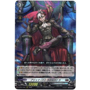 画像: ブリッツCEO ヴェルストラ