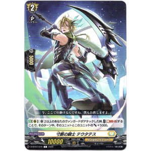 画像: 寸断の騎士 テウタテス
