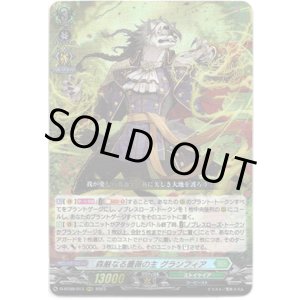 画像: 森厳なる薔薇の主 グランフィア