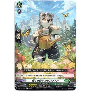 画像: 優しき公子 グランフィア