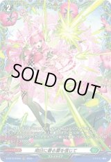 画像: 【FR】明日に香る蕾を信じて