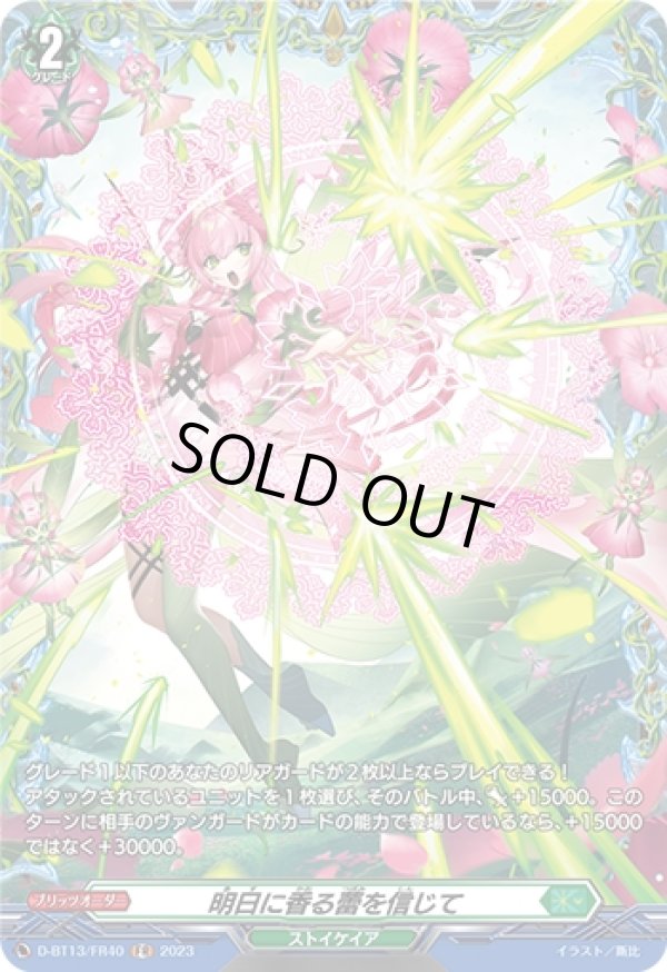 画像1: 【FR】明日に香る蕾を信じて