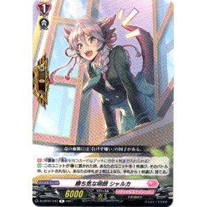 画像: 勝ち気な明朗 シャルカ