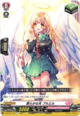画像: 柔らかな光 プルエル