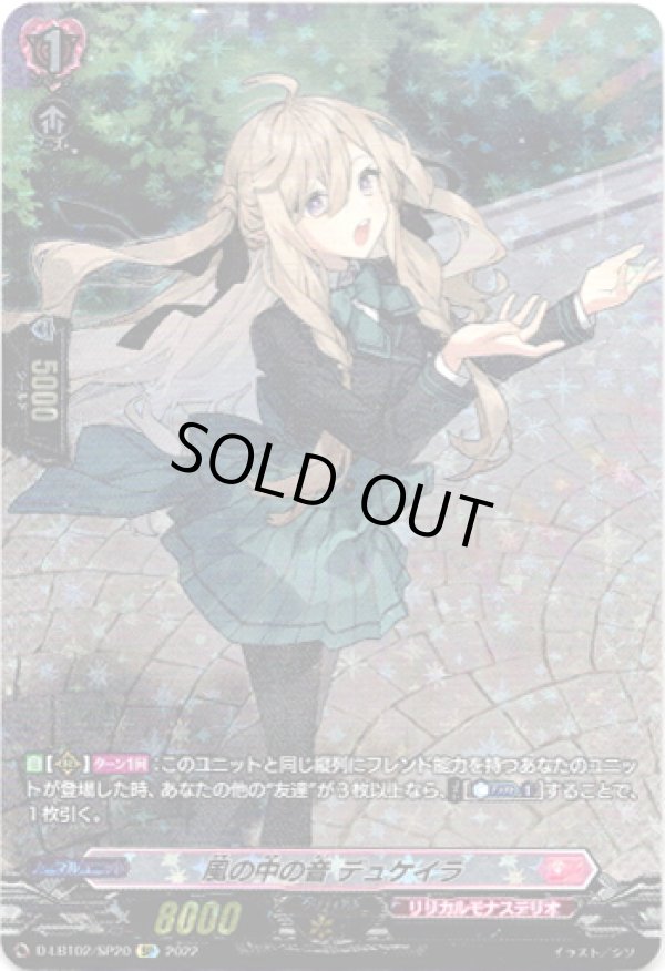 画像1: 【SP】風の中の音 デュケイラ