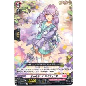 画像: 虹を目指して テオファニア